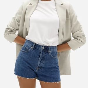 Everlane the Cheeky Short Size 29